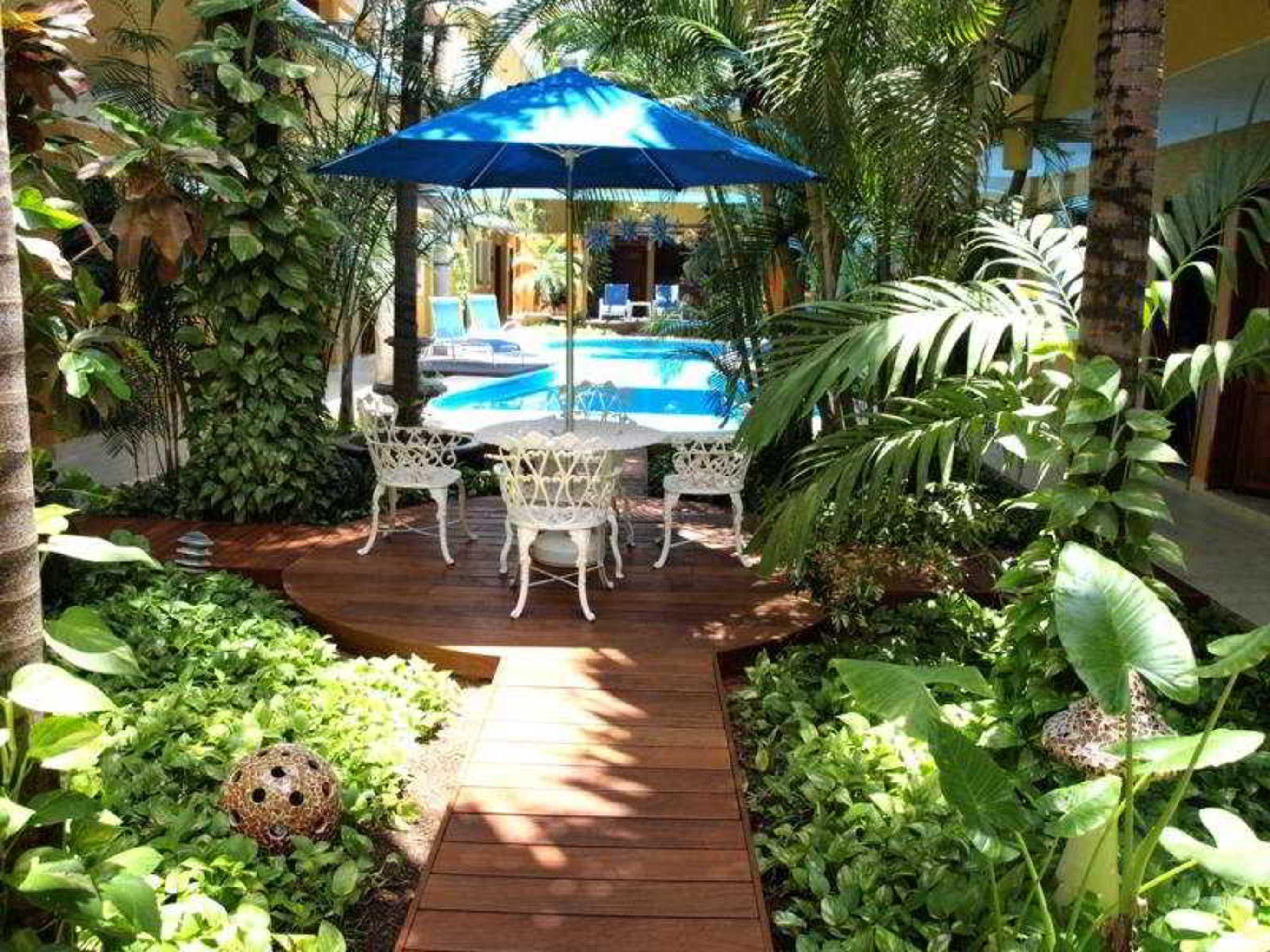 Hotel Las Golondrinas Плайя-дель-Кармен Ресторан фото